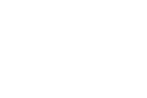 P4r4s1t0