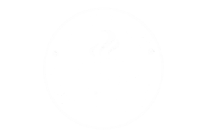 True Believers Cafe